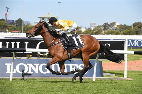 2021 surround stakes|Surround Stakes Field – 2021 .